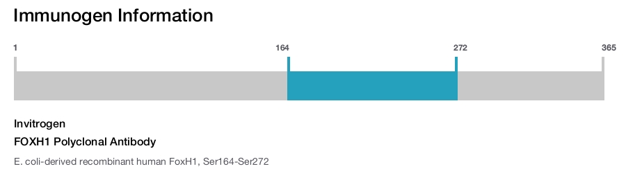 FOXH1 Polyclonal Antibody