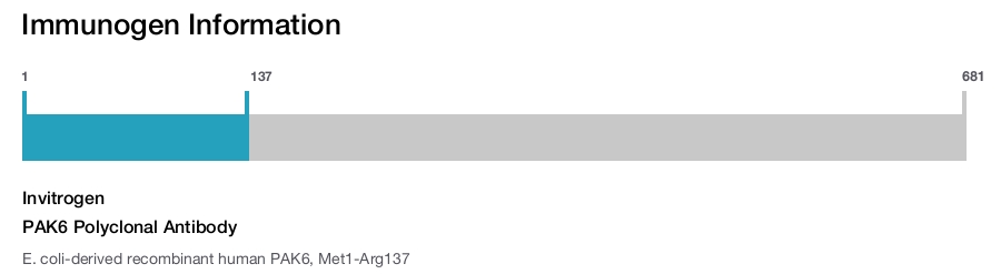 PAK6 Polyclonal Antibody