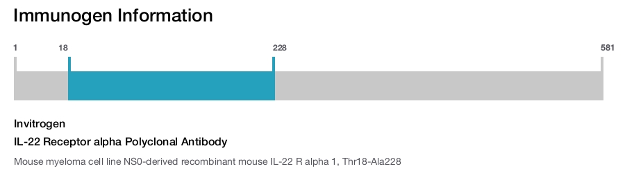IL-22 Receptor alpha Polyclonal Antibody