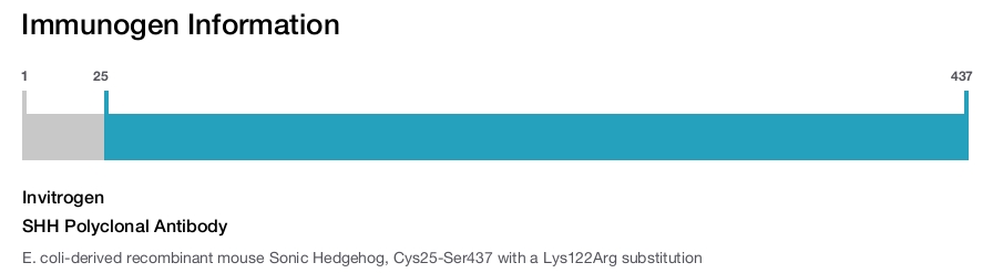 SHH Polyclonal Antibody