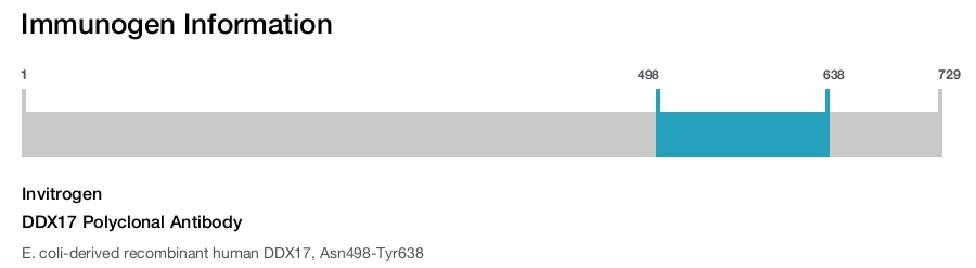 DDX17 Polyclonal Antibody