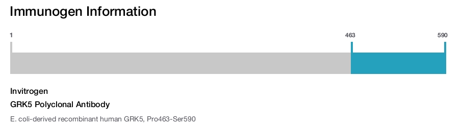 GRK5 Polyclonal Antibody