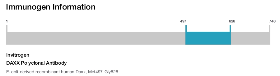 DAXX Polyclonal Antibody