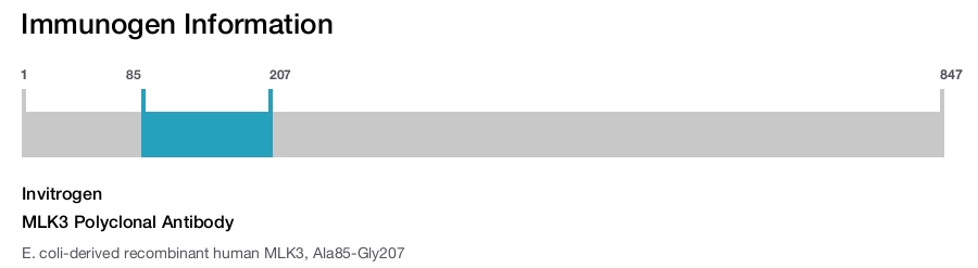 MLK3 Polyclonal Antibody