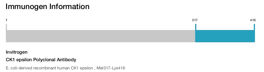CK1 epsilon Polyclonal Antibody