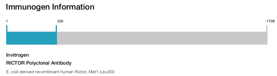 RICTOR Polyclonal Antibody
