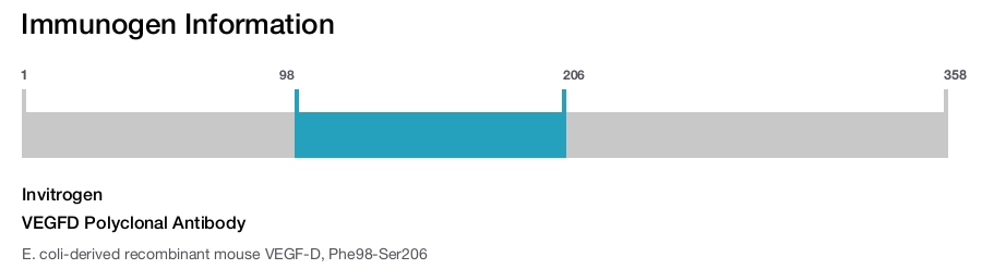 VEGFD Polyclonal Antibody