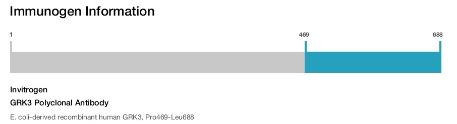 GRK3 Polyclonal Antibody