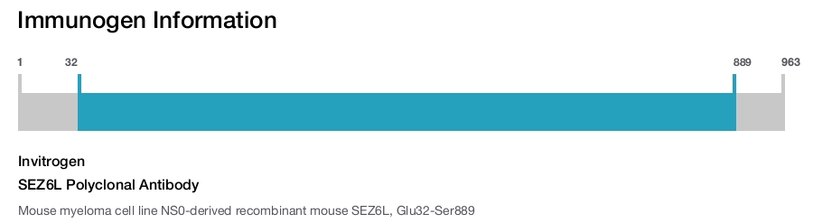SEZ6L Polyclonal Antibody