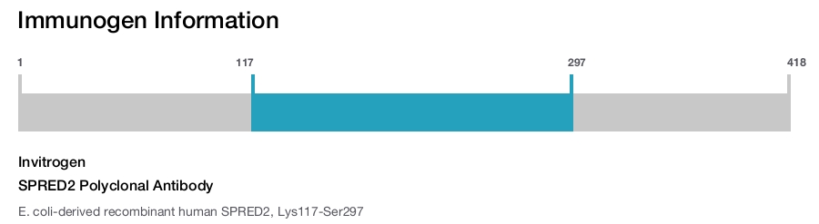 SPRED2 Polyclonal Antibody