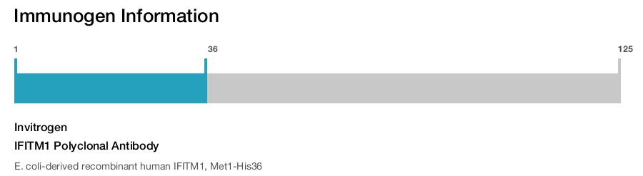 IFITM1 Polyclonal Antibody