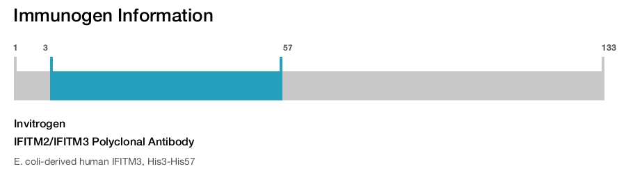 IFITM2/IFITM3 Polyclonal Antibody