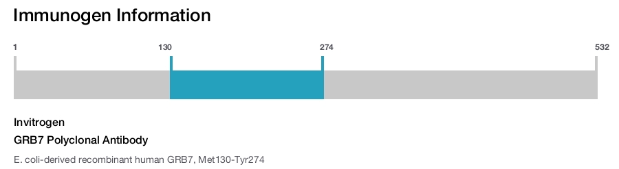 GRB7 Polyclonal Antibody