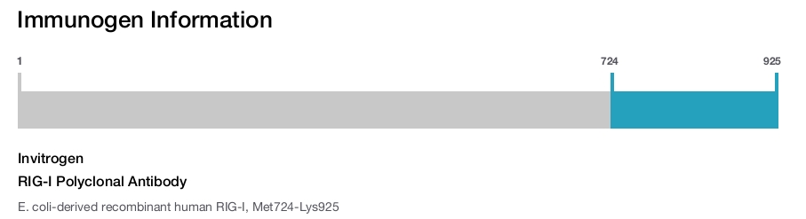 RIG-I Polyclonal Antibody
