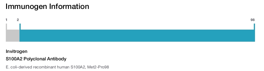 S100A2 Polyclonal Antibody