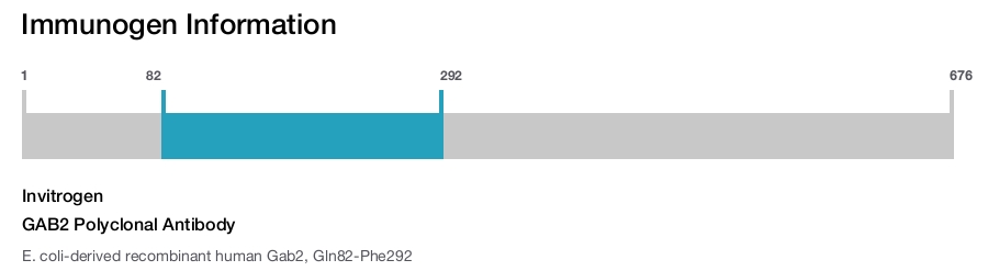 GAB2 Polyclonal Antibody