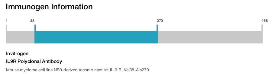 IL9R Polyclonal Antibody