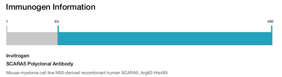 SCARA5 Polyclonal Antibody