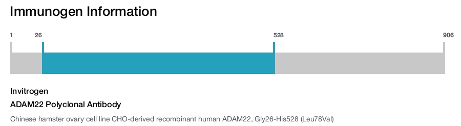 ADAM22 Polyclonal Antibody