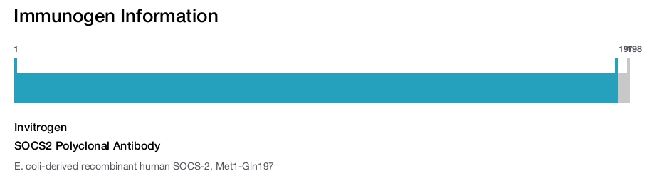 SOCS2 Polyclonal Antibody