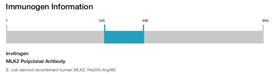 MLK2 Polyclonal Antibody