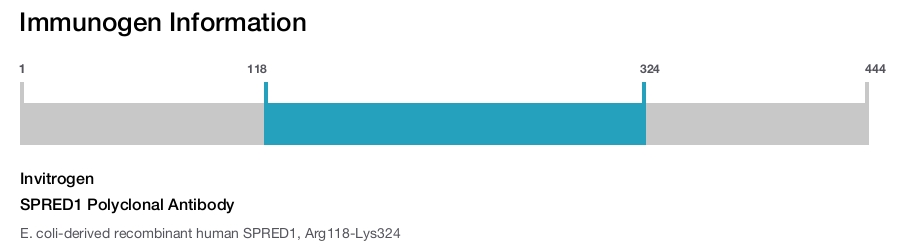 SPRED1 Polyclonal Antibody
