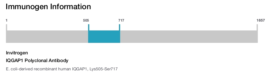 IQGAP1 Polyclonal Antibody