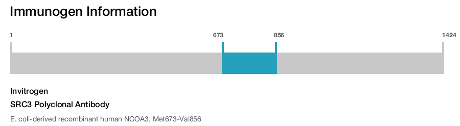 SRC3 Polyclonal Antibody