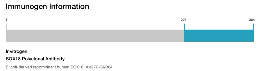 SOX18 Polyclonal Antibody