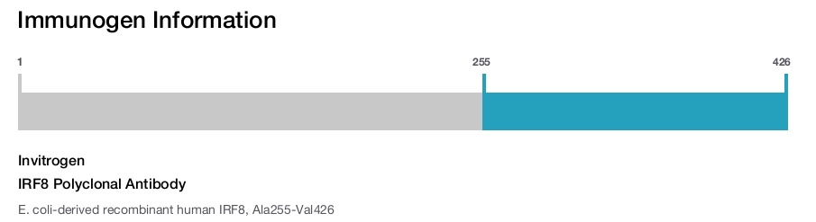 IRF8 Polyclonal Antibody
