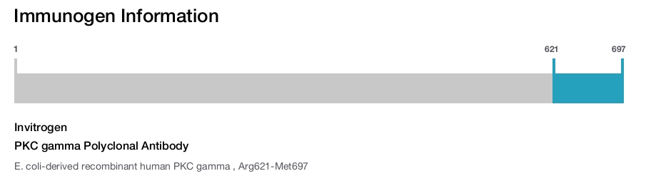 PKC gamma Polyclonal Antibody
