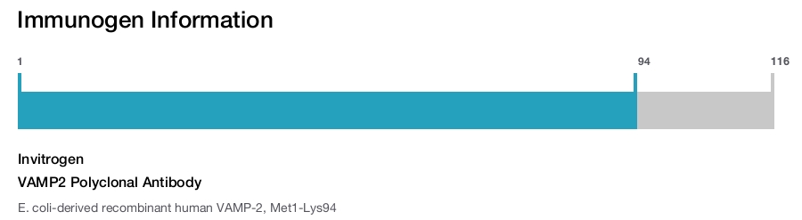 VAMP2 Polyclonal Antibody