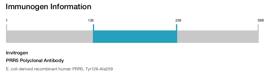 PRR5 Polyclonal Antibody