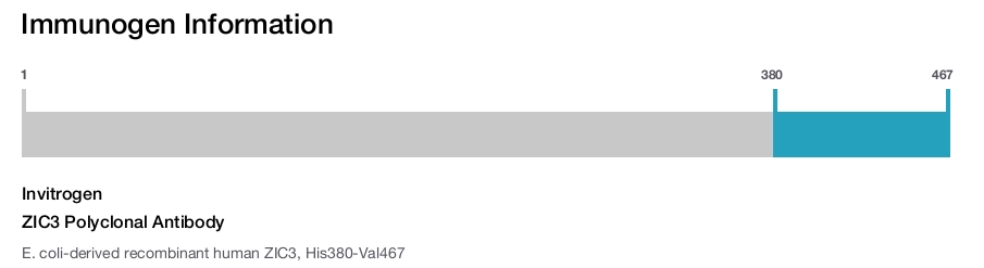 ZIC3 Polyclonal Antibody