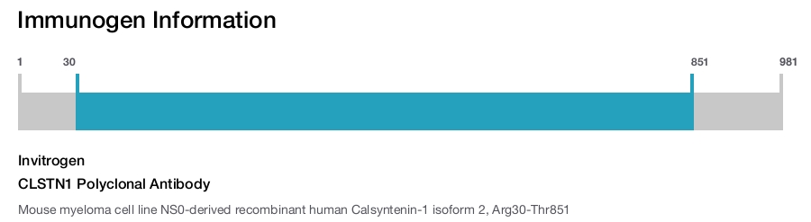 CLSTN1 Polyclonal Antibody