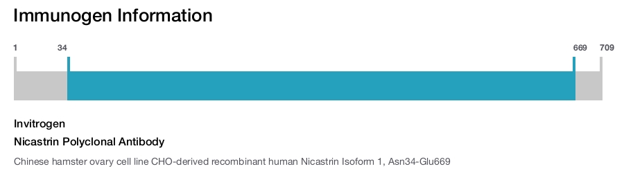 Nicastrin Polyclonal Antibody