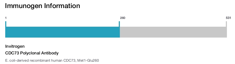 CDC73 Polyclonal Antibody