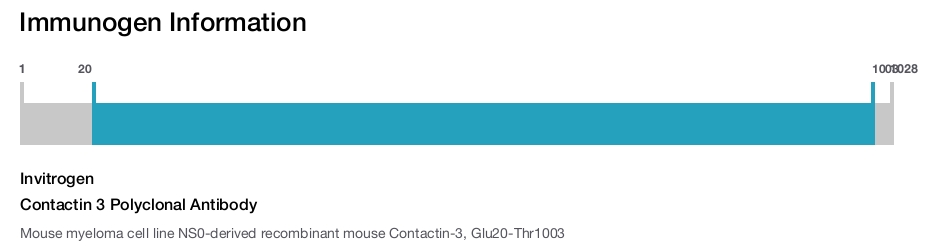 Contactin 3 Polyclonal Antibody