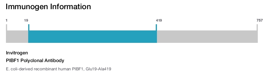 PIBF1 Polyclonal Antibody
