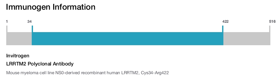 LRRTM2 Polyclonal Antibody