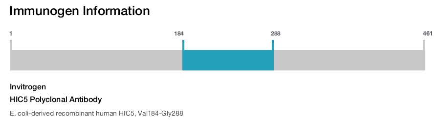 HIC5 Polyclonal Antibody