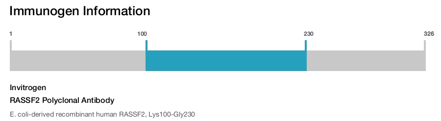 RASSF2 Polyclonal Antibody