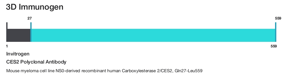 CES2 Polyclonal Antibody