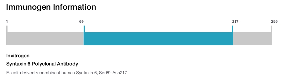 Syntaxin 6 Polyclonal Antibody