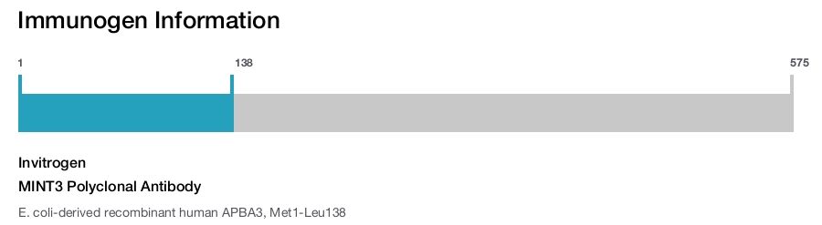 MINT3 Polyclonal Antibody