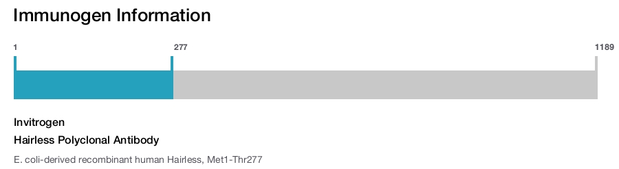 Hairless Polyclonal Antibody
