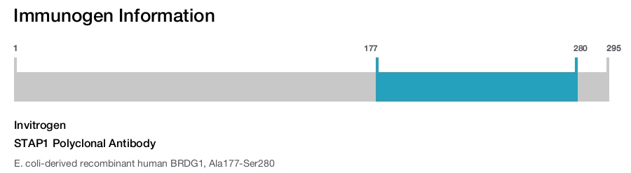 STAP1 Polyclonal Antibody