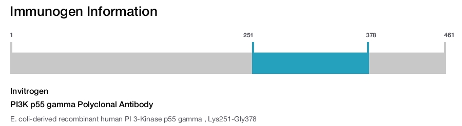 PI3K p55 gamma Polyclonal Antibody