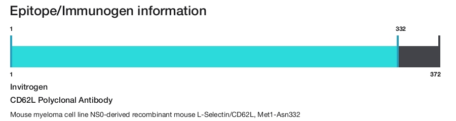 CD62L Polyclonal Antibody