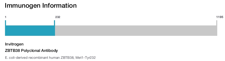 ZBTB38 Polyclonal Antibody
